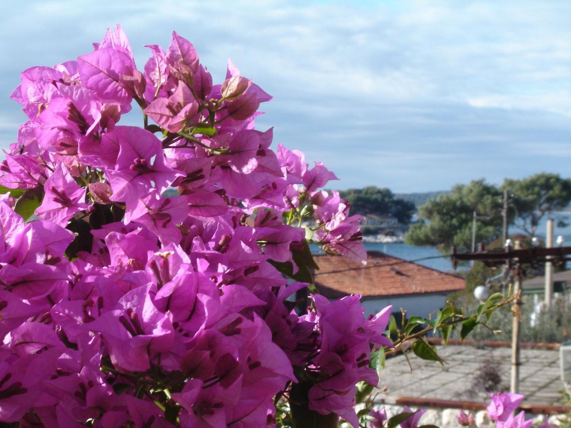 Appartement Luna Hvar Town