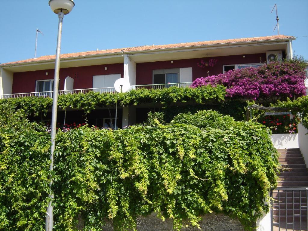 Apartment Luna